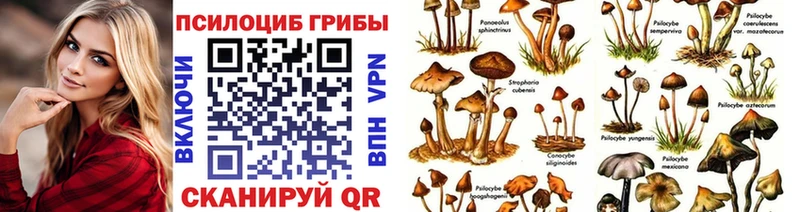 Галлюциногенные грибы Cubensis  дарк нет телеграм  Кимовск 