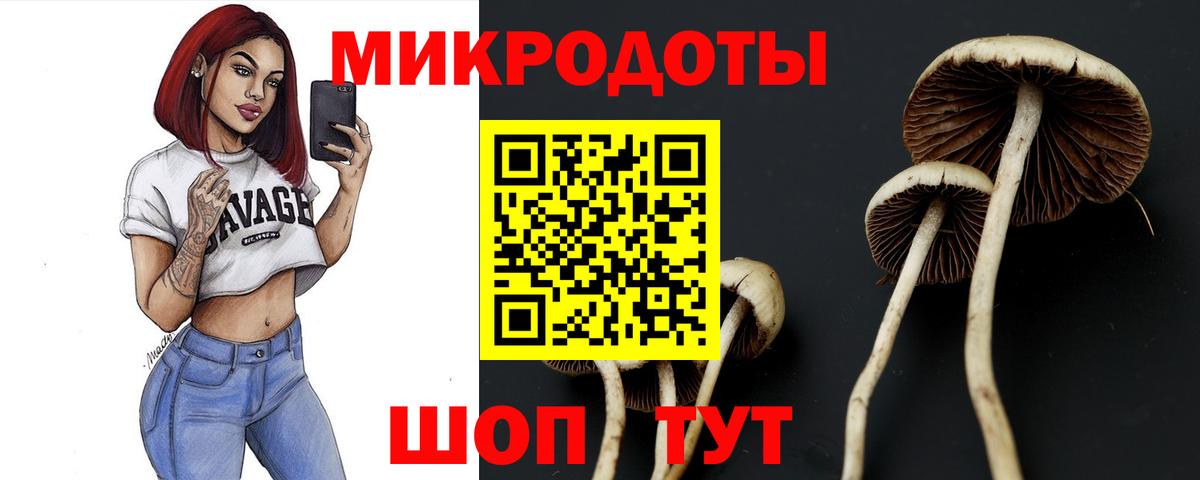 Галлюциногенные грибы ЛСД Кимовск